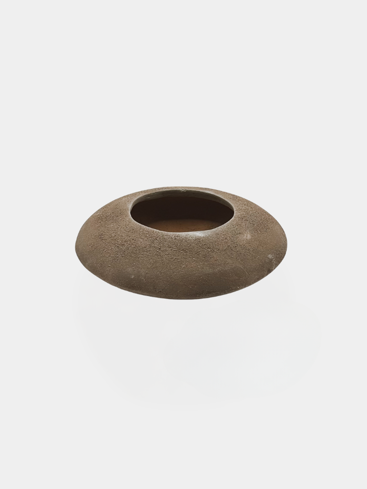 Sand Dollar Vase